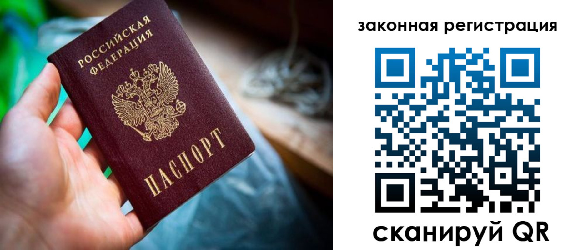 прописка в Заозёрске